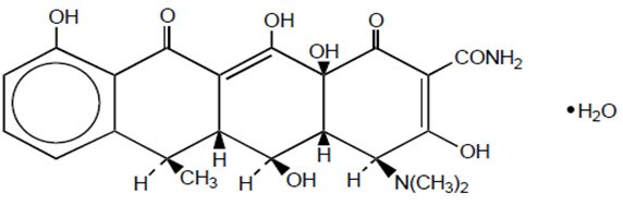 Doxycycline monohydrate capsule half life