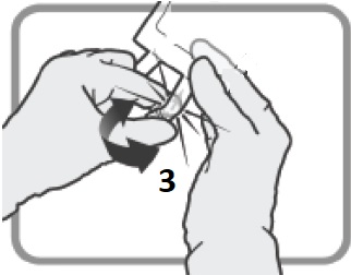 figure L