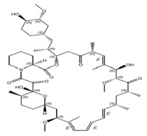 sirolimus-structure