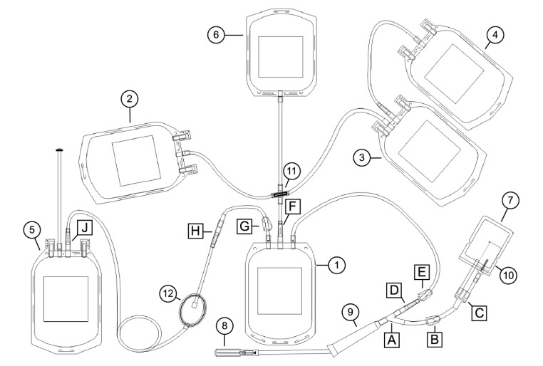 Set Diagram