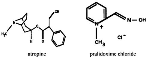 Image from Drug Label Content