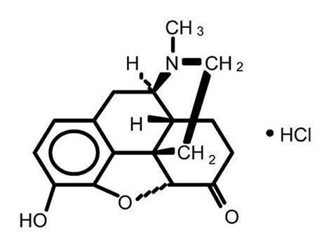 7a2ee5f4-figure-01