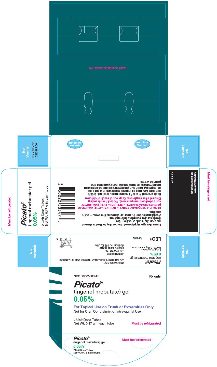 PRINCIPAL DISPLAY PANEL - 0.47 g Tube Carton - 0.05%