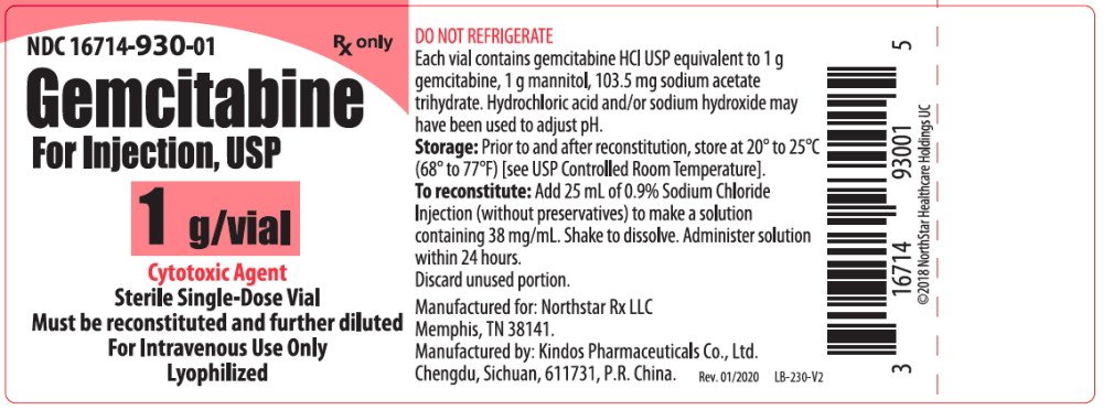 Principal Display Panel – Gemcitabine For Injection, USP 1 g Vial Label