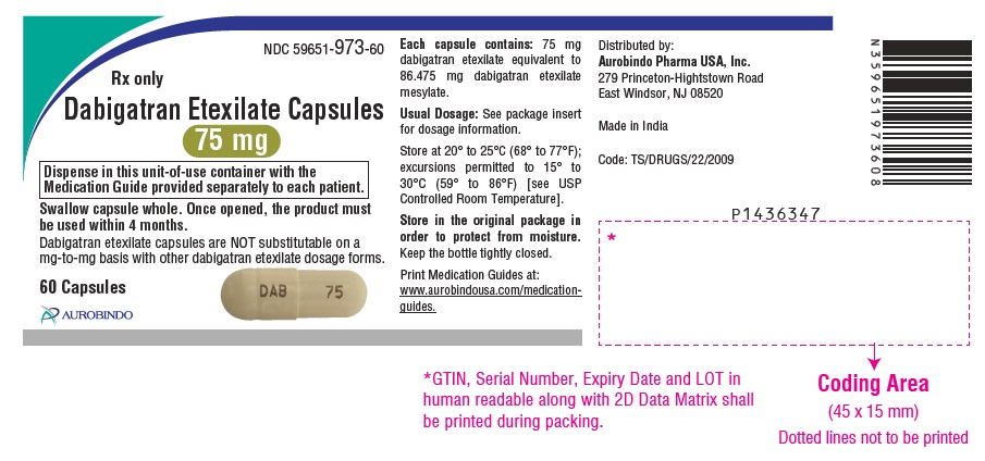 PACKAGE LABEL-PRINCIPAL DISPLAY PANEL - 75 mg (60 Capsules Bottle)