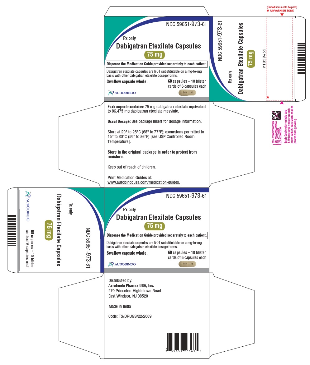 PACKAGE LABEL-PRINCIPAL DISPLAY PANEL - 75 mg (10 x 6 Capsules Blister Carton)