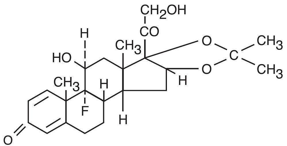 TA Structure