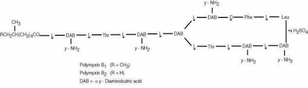 The structural formulae are Polymyxin B sulfate is the sulfate salt of polymyxin B1 and B2 which are produced by the growth of Bacillus polymyxa (Prazmowski) Migula (Fam. Bacillaceae). It has a potency of not less than 6,000 polymyxin B units per mg, calculated on an anhydrous basis. 