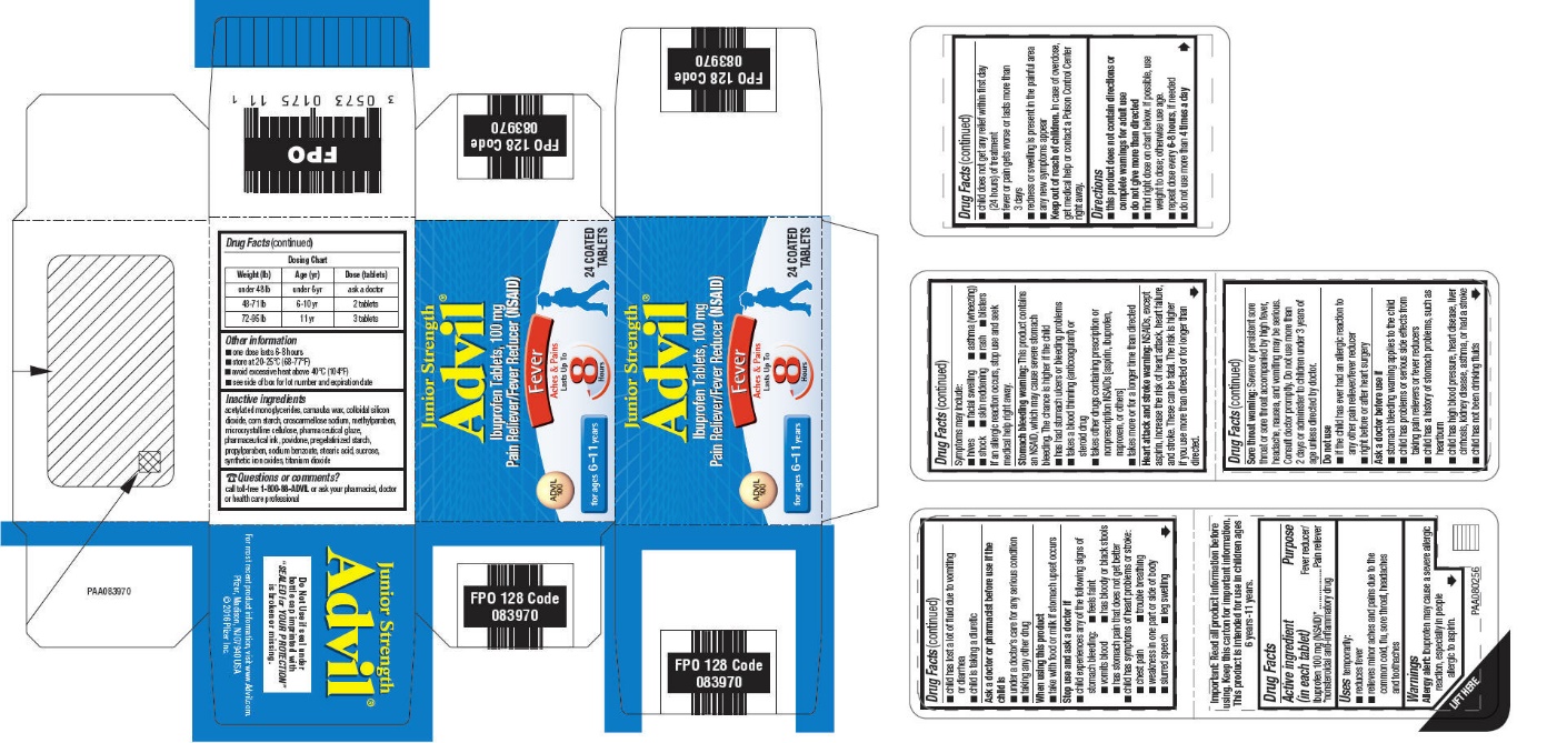 PRINCIPAL DISPLAY PANEL - 100 mg Tablet Bottle Carton