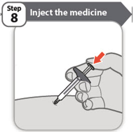 Step 8