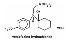 Venlafaxine 