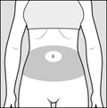figure-c-abdomen