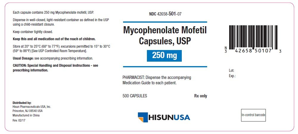 MYCOPHENOLATE MOFETILO PDF DOWNLOAD MYCOPHENOLATE MOFETILO PDF DOWNLOAD