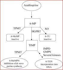 Cheap Azathioprine Online