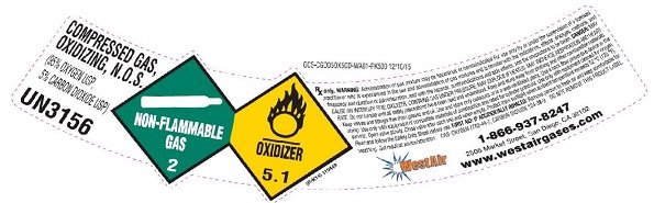 oxygen95 carbondioxide5 mix