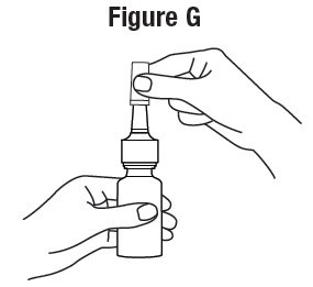 figure-g.jpg