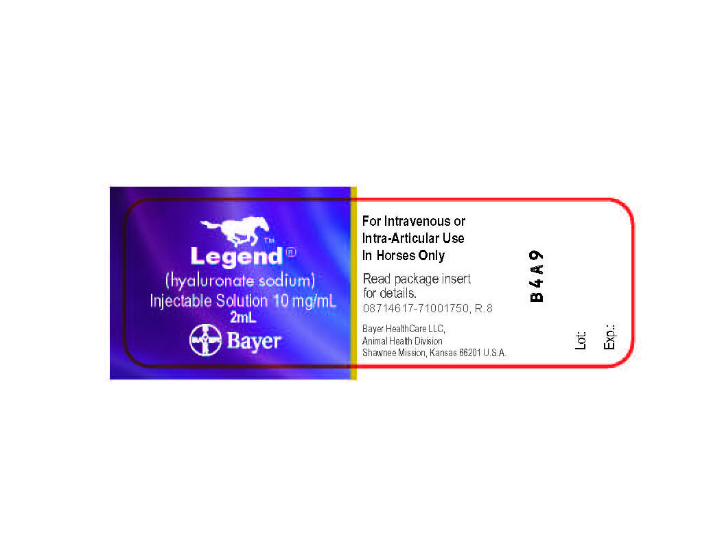 Legend 2mL Vial Label