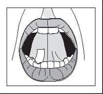 Figure3.jpg