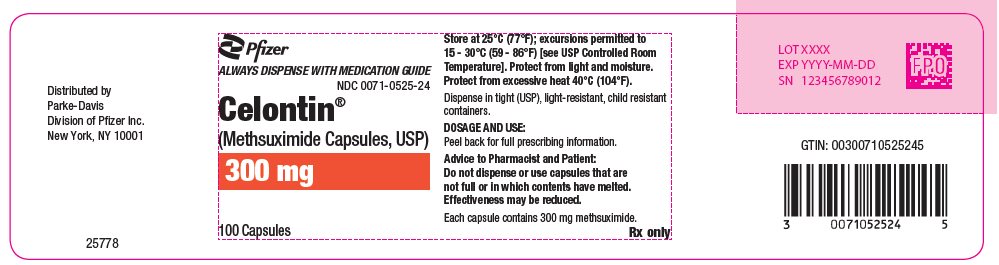 PRINCIPAL DISPLAY PANEL - 300 mg Capsule Bottle Label