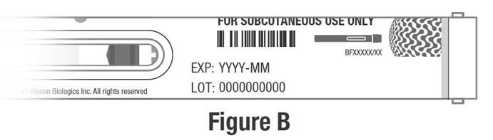 Figure B