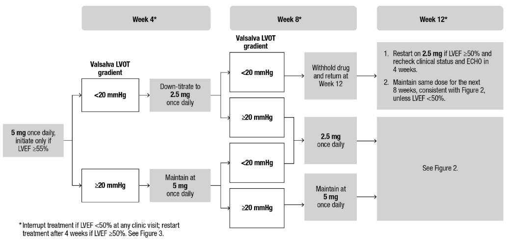 Fig_InitiationPhase