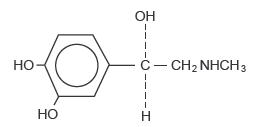 lidocaine epinephrine injection hydrochloride uses