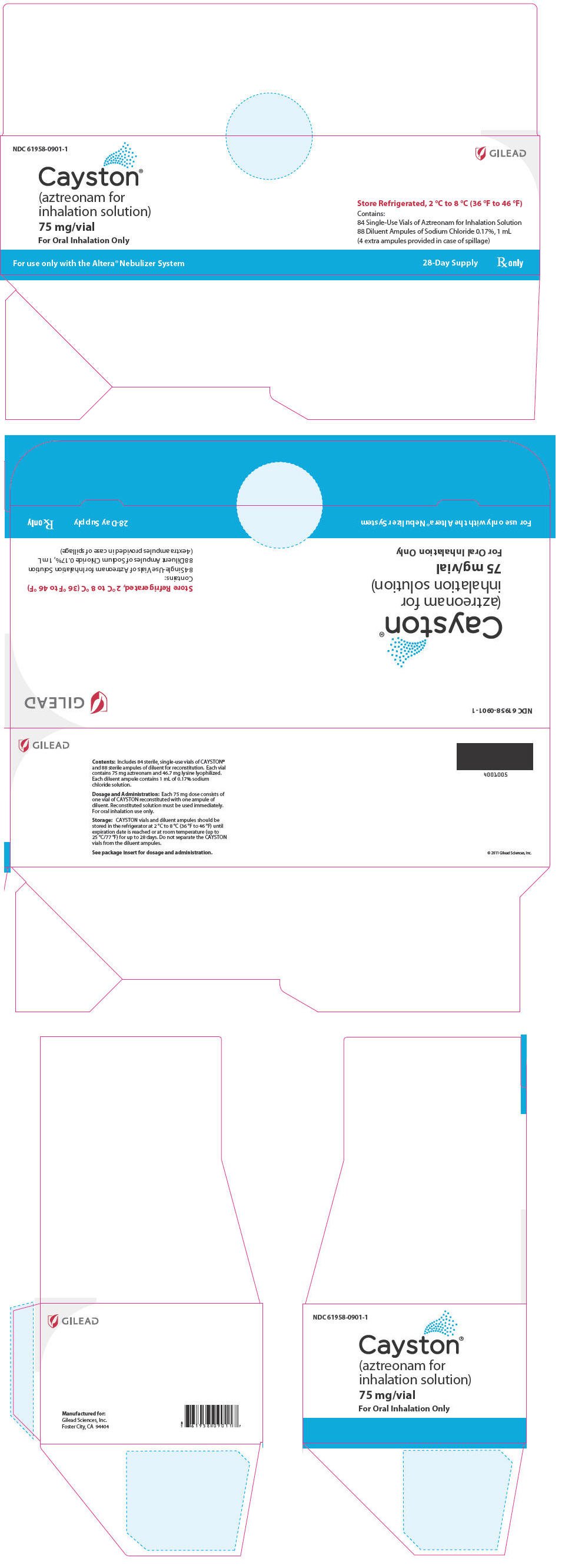 Principal Display Panel - Cayston 28 Day Carton - Representative Label