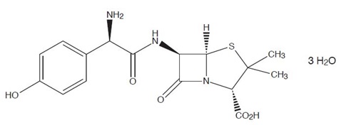 Amoxicillin Chemical Structure