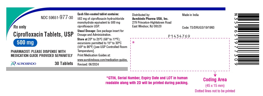 PACKAGE LABEL-PRINCIPAL DISPLAY PANEL - 500 mg (30 Tablets Bottle)