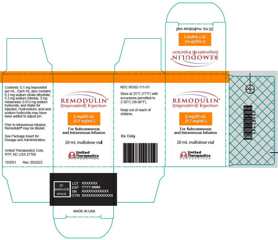 PRINCIPAL DISPLAY PANEL - 0.1 mg/mL Vial Carton