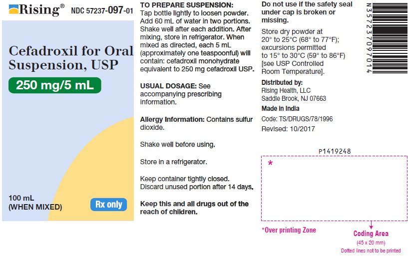 PACKAGE LABEL-PRINCIPAL DISPLAY PANEL - 250 mg/5 mL (100 mL WHEN MIXED)
