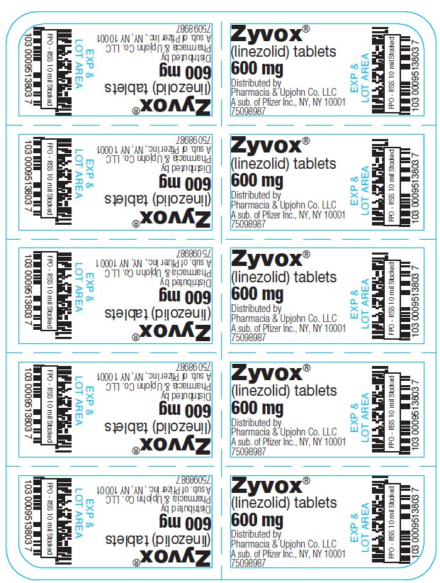 PRINCIPAL DISPLAY PANEL - 600 mg Tablet Blister Pack - NDC 0009-5138-03