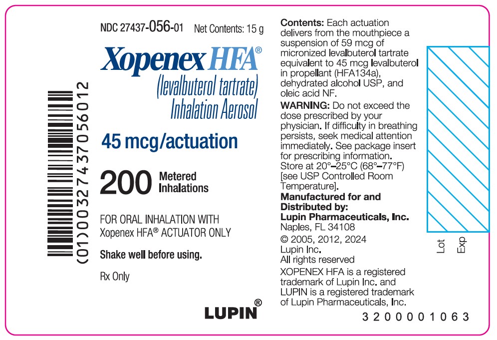 PRINCIPAL DISPLAY PANEL TRADE CANISTER LABEL 45 MCG 200 ACTUATIONS