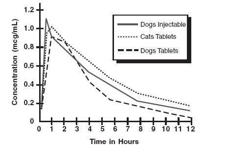 Figure 1 - Serum Concentrations of Enrofloxacin Following a Single Oral or Intramuscular Dose at 2.5 mg/kg in Dogs and a Single Oral Dose at 2.5 mg/kg in Cats.