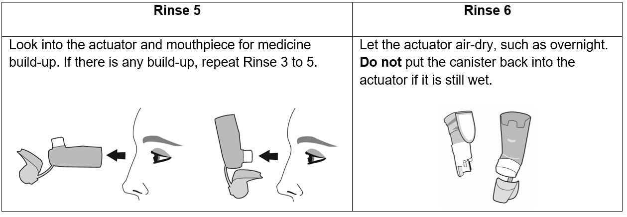 rinse 5 and 6