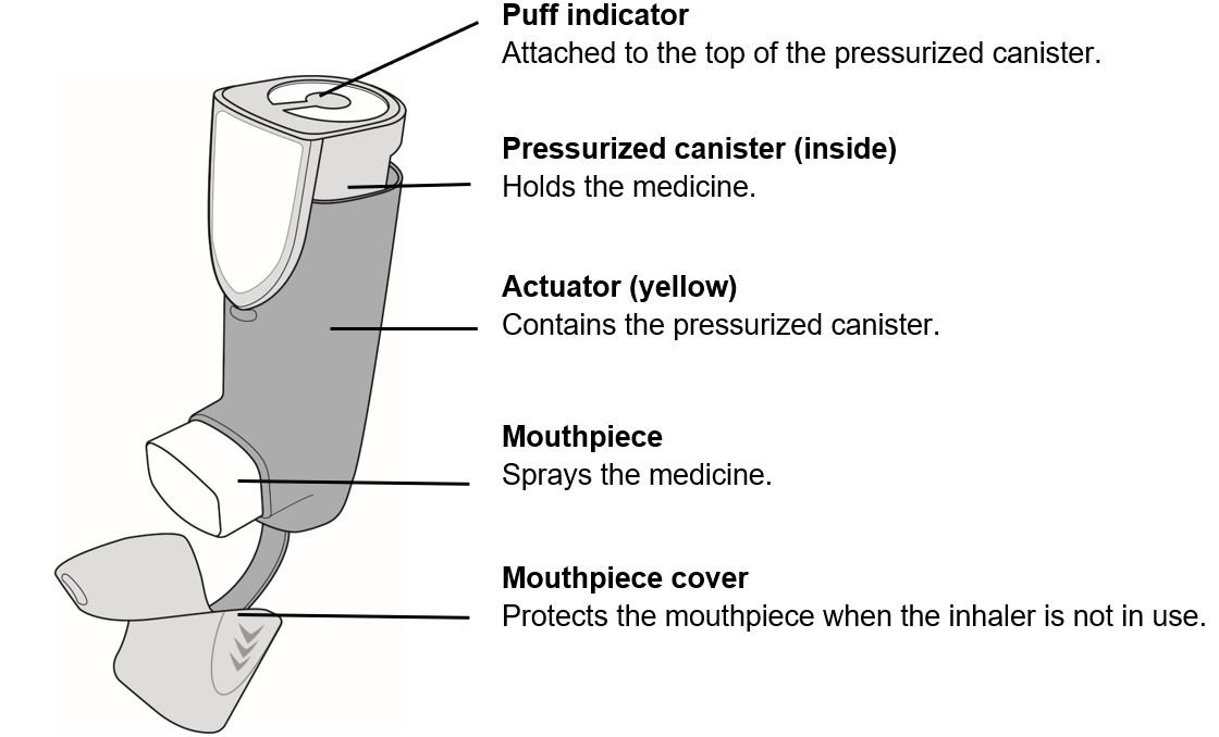 parts of inhaler