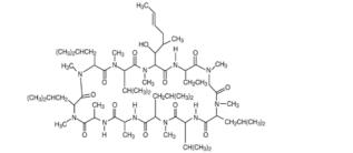 The following structure formula for RESTASIS MULTIDOSETM is (cyclosporine ophthalmic emulsion) 0.05% contains a calcineurin inhibitor immunosuppressant with anti-inflammatory effects. Cyclosporine’s chemical name is Cyclo[[(E)-(2S,3R,4R)-3-hydroxy-4-methyl-2-(methylamino)-6-octenoyl]-L-2-aminobutyryl-N-methylglycyl-N-methyl-L-leucyl-L-valyl-N-methyl-L-leucyl-L-alanyl-D-alanyl-N-methyl-L-leucyl-N-methyl-L-leucyl-N-methyl-L-valyl] 