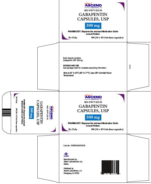 gabapentin 300 drug information