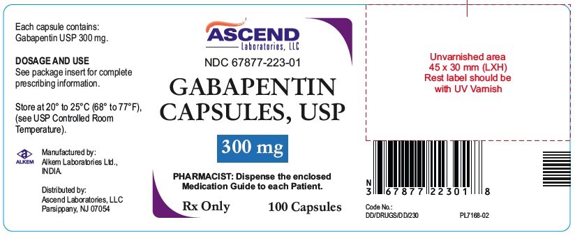 gabapentin capsule package insert