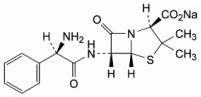 Ampicillin Sodium 