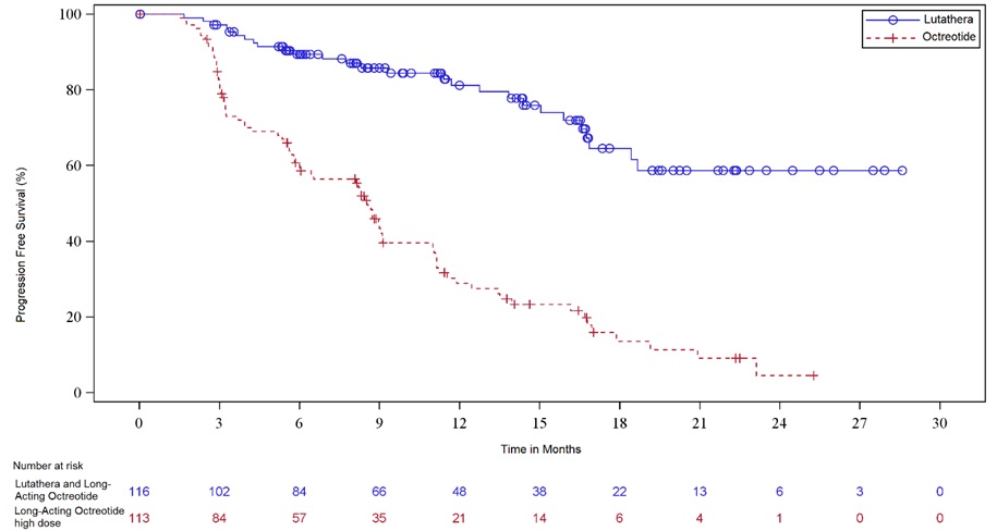 Figure 1. Kaplan-Meier Curves for Progression-Free Survival in NETTER-1