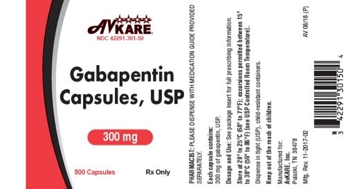 gabapentin drug info