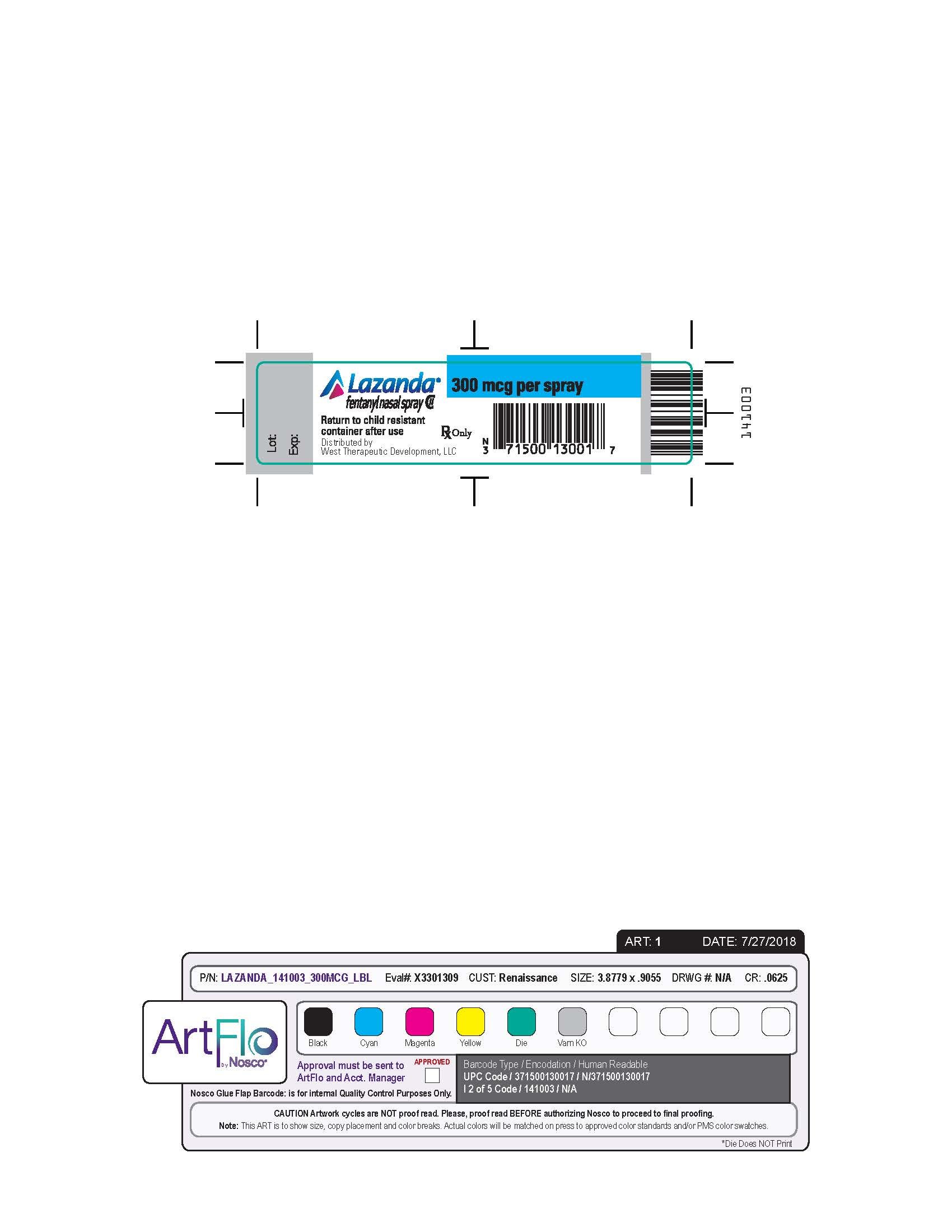 Principal display panel - 300 mcg