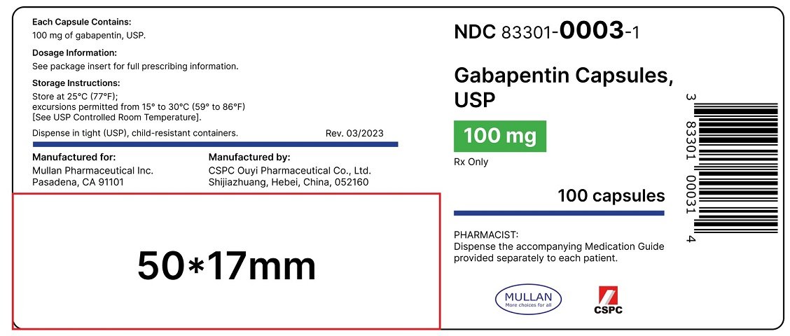 gabapentin capsules package insert