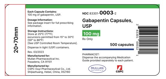 gabapentin package insert