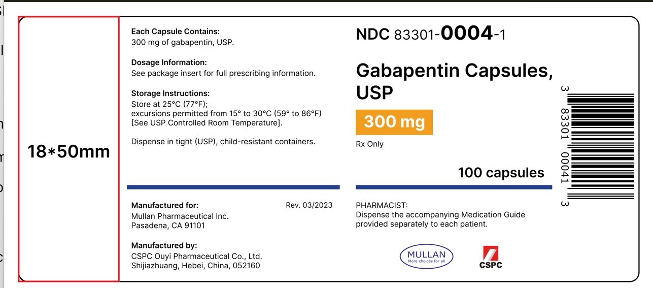 neurontin package insert