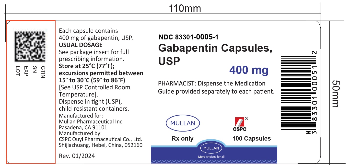 gabapentin package insert