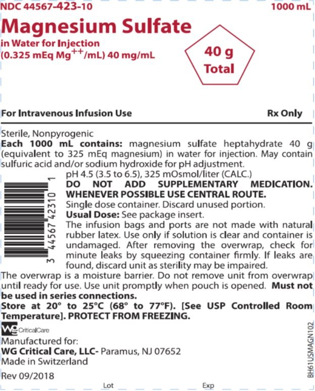 Magnesium Sulfate in WFI 40 g (40 mg/mL) bag image