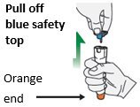 Practice Instructions Figure B