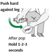 Practice Instructions Figure D